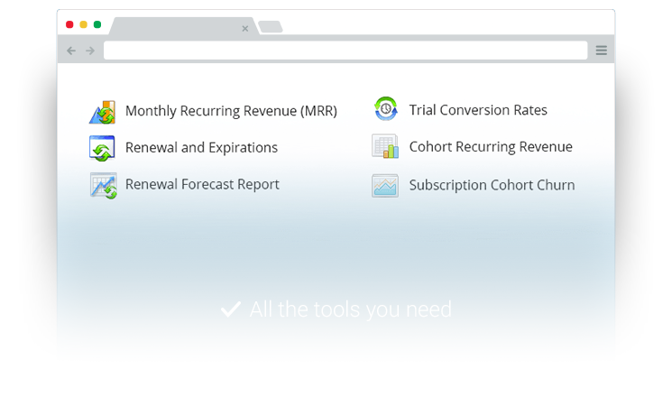 Keep track of your recurring revenue growth and trends using our insightful tools