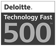 Avangate award for Deloitte Tech Fast 500